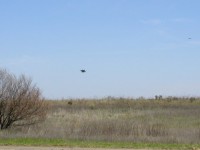 /album/imagenes-mirage-f-1/n50083107949-1384724-9696-jpg/
